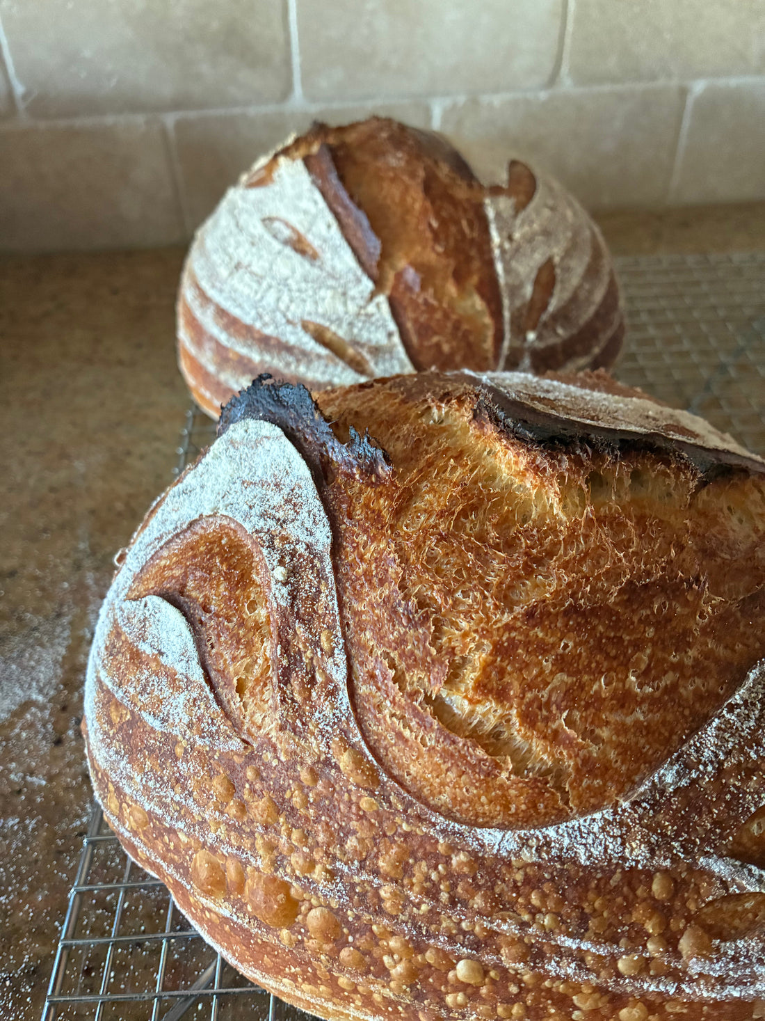 Fueled by Flour: How My Passion for Bread Took Over My Life